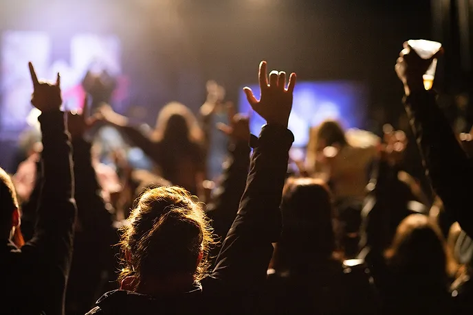 image of concert crowd